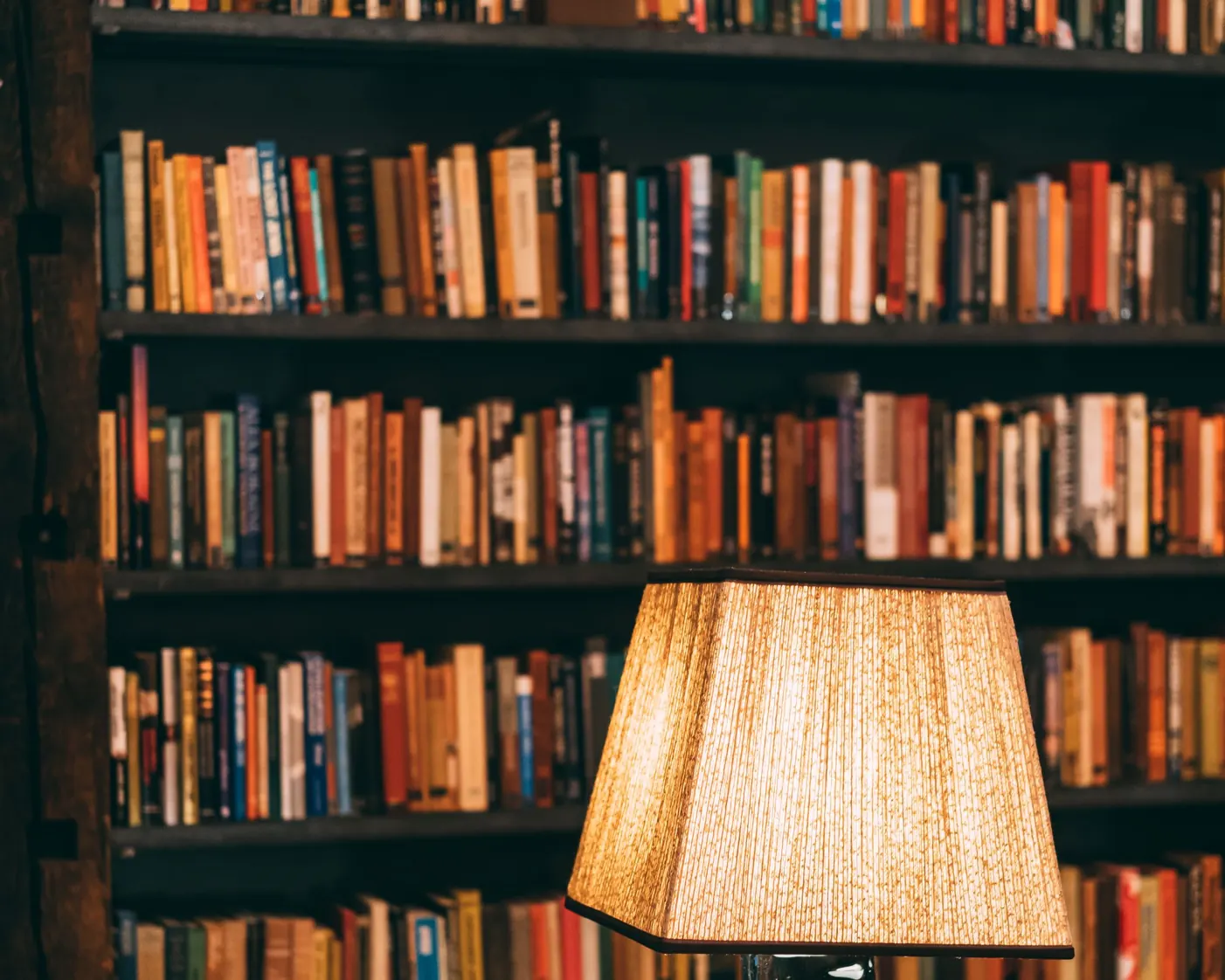 The library shelves, a career built on learning