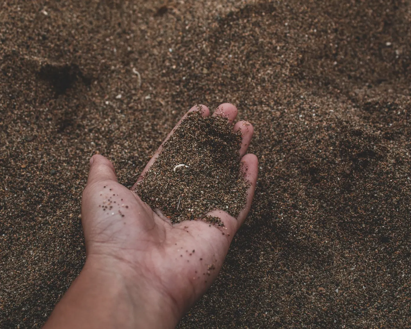 Hands grounded in earth